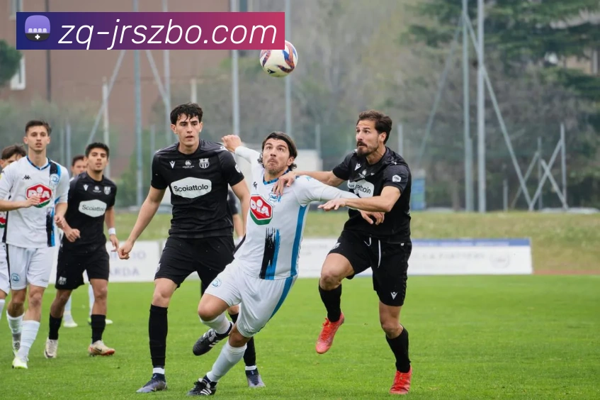 JRS直播服务体系